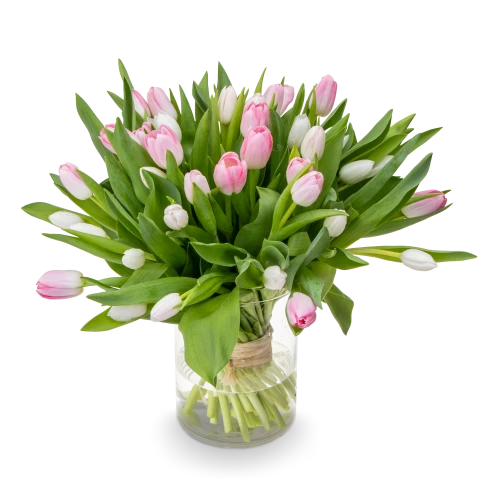 Kytice tulipánů